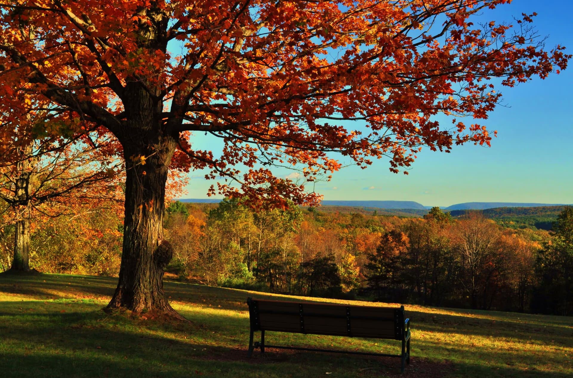 Vacation homes in the Pocono Mountains by Hyatus