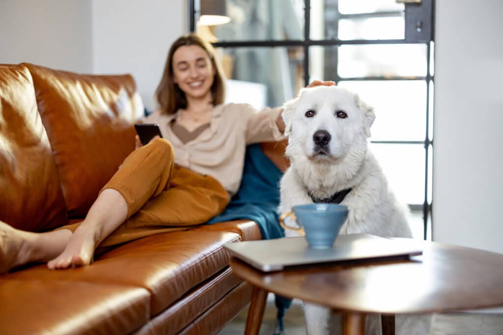Enjoying downtime with pets in cozy Atlantic City rentals.
