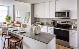 hyatus furnished kitchen