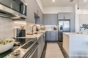 luxurious apartment with kitchen