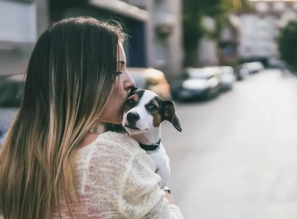 At Hyatus we value the relationship you have with your pets