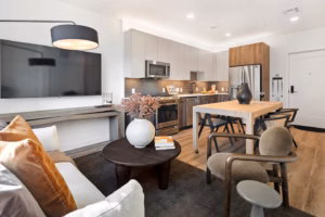 STR Furnished apartments Anthem Airbnb Booking Luxury Everett Boston Hyatus